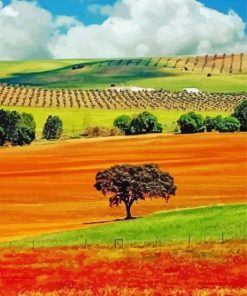 Alentejo Landscape paint by number