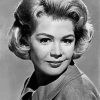 Black And White Sandra Dee paint by number