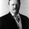 Black And White Teddy Roosevelt paint by number