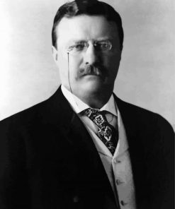 Black And White Teddy Roosevelt paint by number