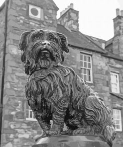 Black And White Greyfriars Bobby paint by number