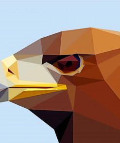 Brown Eagle Head Abstract paint by number