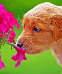 Brown Puppy With Pink Flowers paint by number