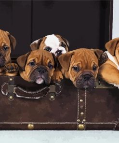 Australian Bulldog Puppies paint by number