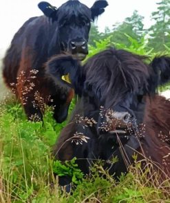 Cute Little Cows Grazing paint by number