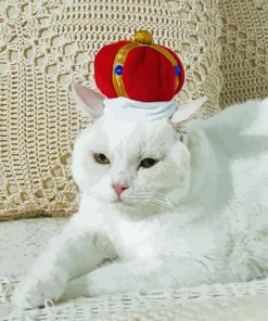 White Cat With Hat paint by number