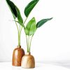 Wooden Pots Minimalist Plant paint by number