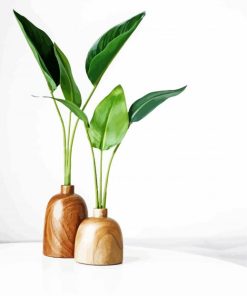 Wooden Pots Minimalist Plant paint by number