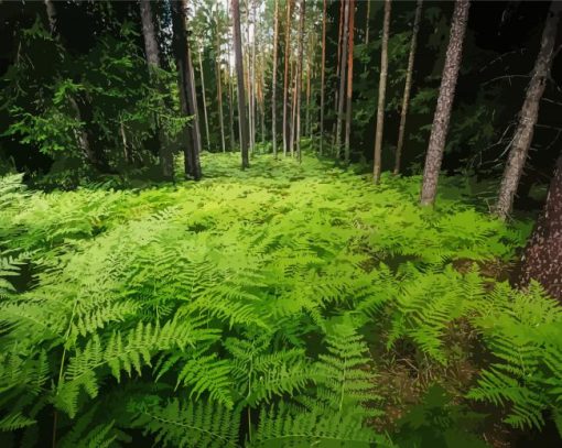 Ferns In Forest Nature paint by number