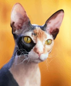 Hairless Cat paint by number