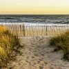 Hampton Beach paint by number