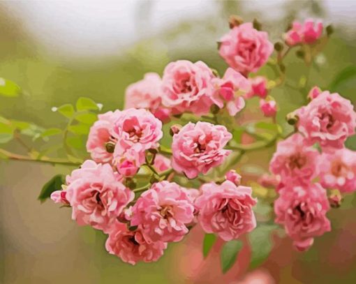 Pink Lilac Rose paint by number
