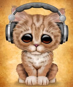 Cat With Headphones paint by number