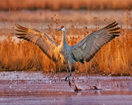 Sandhill Crane paint by number