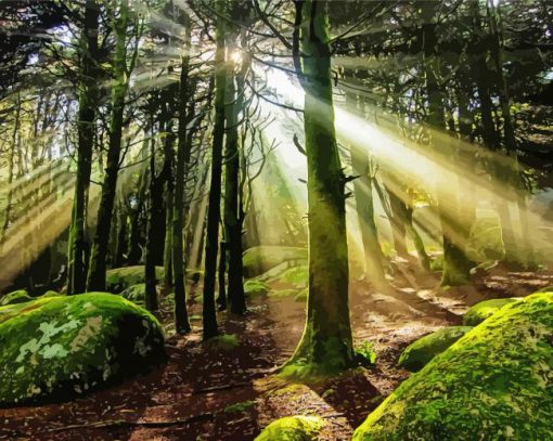 Trees Forest Light paint by number
