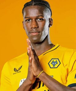 Willy Boly Wolves Player paint by number