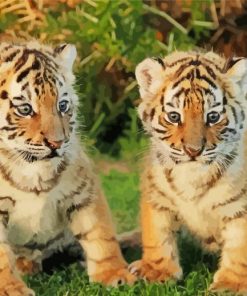 Baby Tigers paint by number