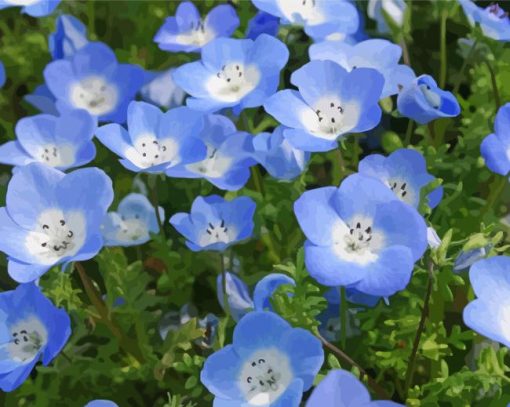 Blue Wildflowers paint by number