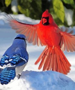 Cardinal And Blue Jay Birds paint by number