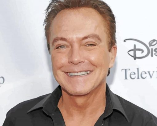 David Cassidy paint by number