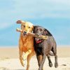 Dogs Playing On Beach paint by number