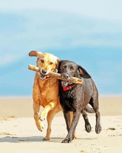 Dogs Playing On Beach paint by number