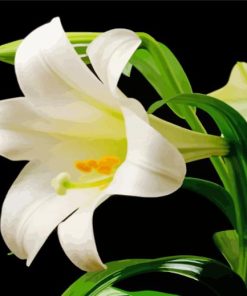 Easter Lilies paint by number