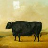 Fat Black Cow paint by number