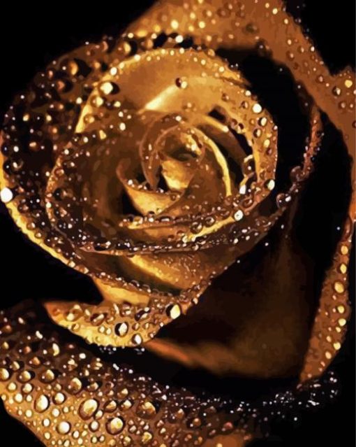 Golden Rose With Raindrops paint by number