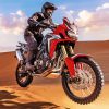 Honda Africa Twin In Desert paint by number