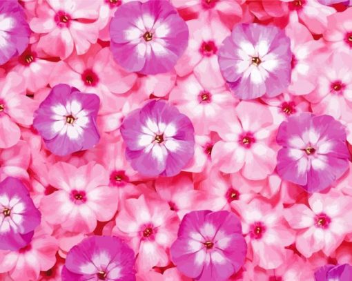 Pink And Purple Flowers paint by number
