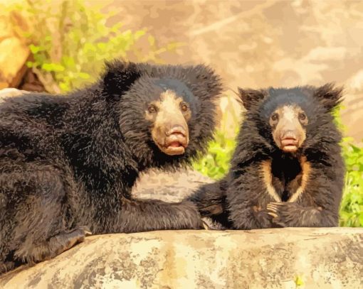 Sloth Bears paint by number