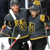 Vegas Golden Knights Players paint by number