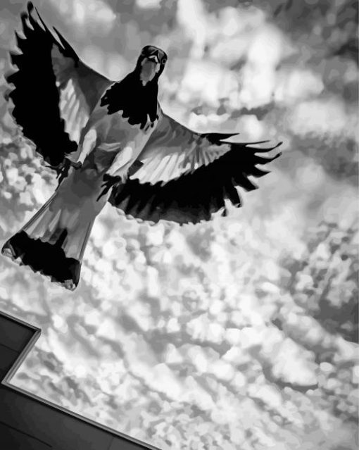 Black And White Australian Magpie paint by number