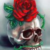 Red Rose Skull paint by number