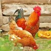 Chicken And Rooster paint by number