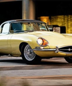 1965 Jaguar Xke Car paint by number