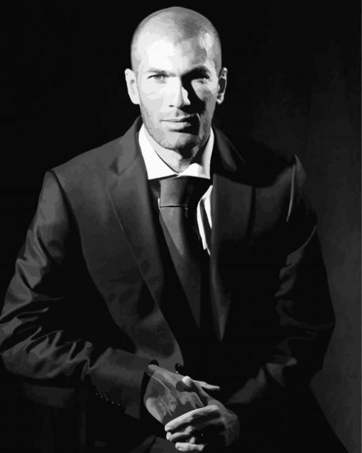 Black And White Zinedine Zidane paint by number