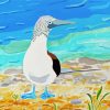 Blue Footed Booby On Beach paint by number