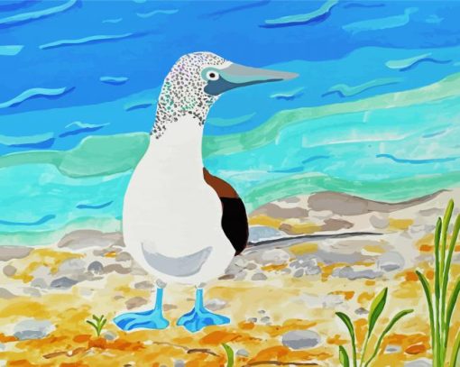 Blue Footed Booby On Beach paint by number