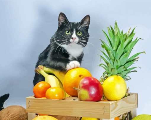 Cat And Fruits paint by number