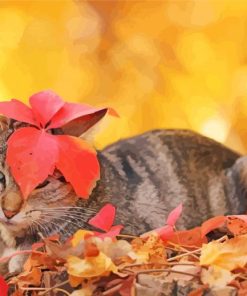 Cat And Red Leaves paint by number