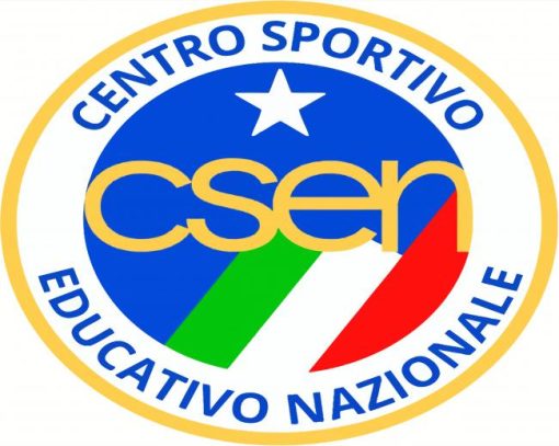 Csen paint by number