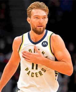 Domantas Sabonis paint by number