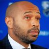 French Coach Thierry Henry paint by number