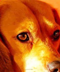 Jack Beagle Puppy paint by number