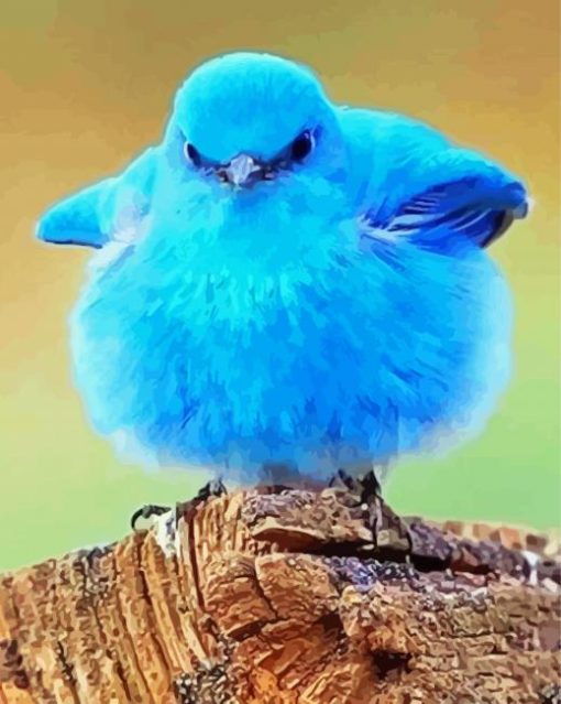 Mountain Bluebird paint by number