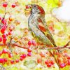 Sparrow On Cherry Branch paint by number