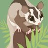 Sugar Glider paint by number