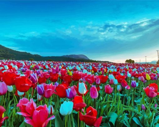 Tulip Field Landscape paint by number